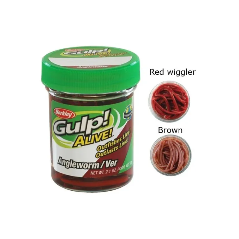 Berkley Appat Gulp Alive Angle Worm - 5Cm - Par 60