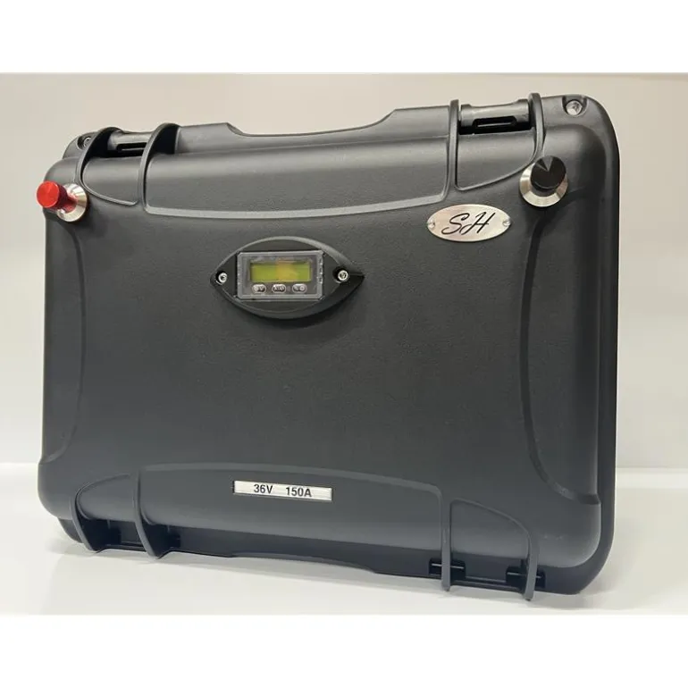 Batterie Lithium Ion Sh Lithium Gamme Haute Performance Brushless- 36V150a + Chargeur