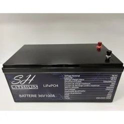 SH Lithium Batterie Lithium Lifeop4 Format Caisse Bluetooth 36V100amp + Chargeur