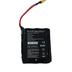 Batterie Rippton Pour Bateau Amorceur Catch X Mini