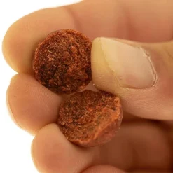 Cap River Bouillette Indian Spice