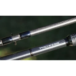 Canne Carpe Prowess Scorpium 3G