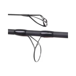 Canne Carpe Wychwood Riot 3G Carp Rod