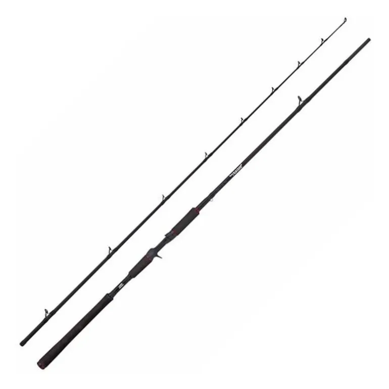 Canne Casting Abu Garcia Beast Casting Rod
