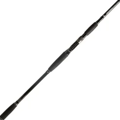 BFT Canne Casting 92 Big Fish Classic