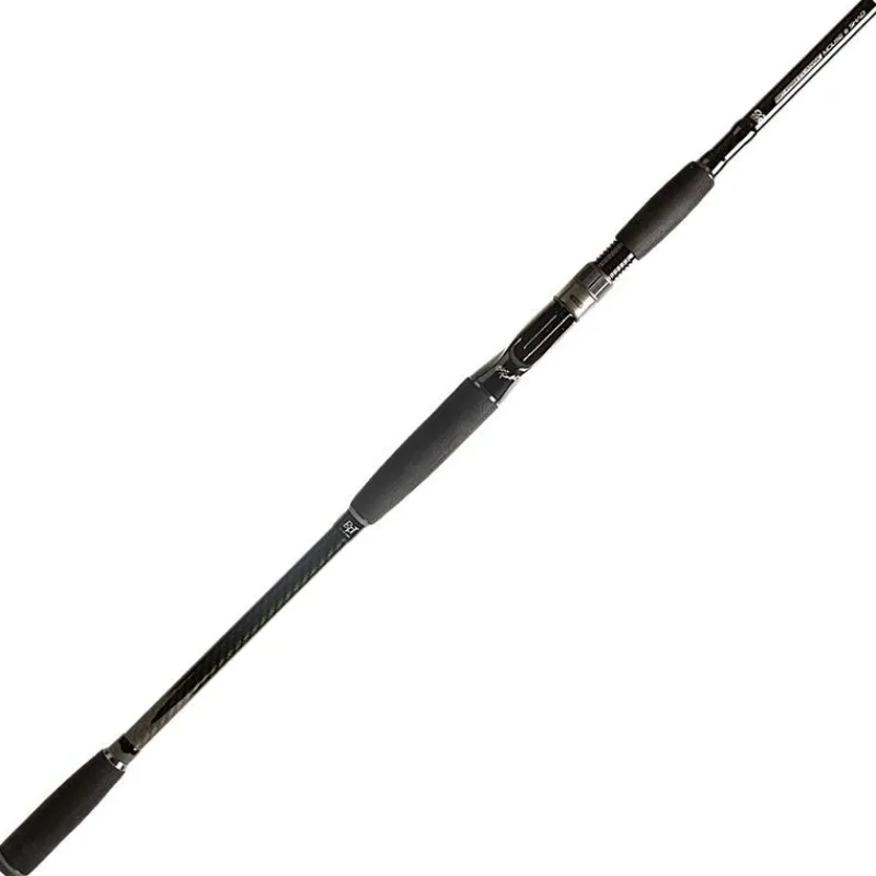 BFT Canne Casting 92 Big Fish Classic