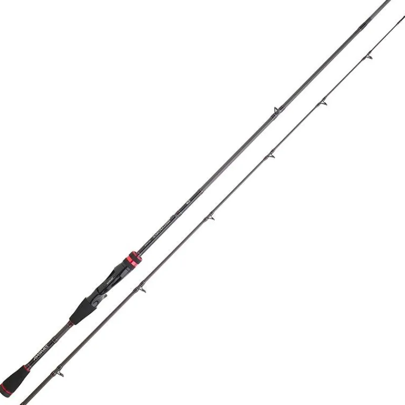 Daiwa Canne Casting Megaforce