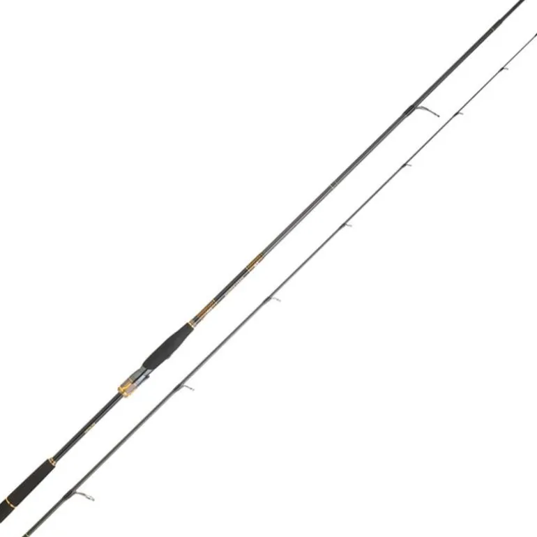 Canne Daiwa Morethan Branzino Expert