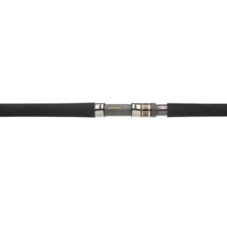 Canne Daiwa Morethan Branzino Expert
