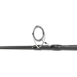 Daiwa Canne Saltiga