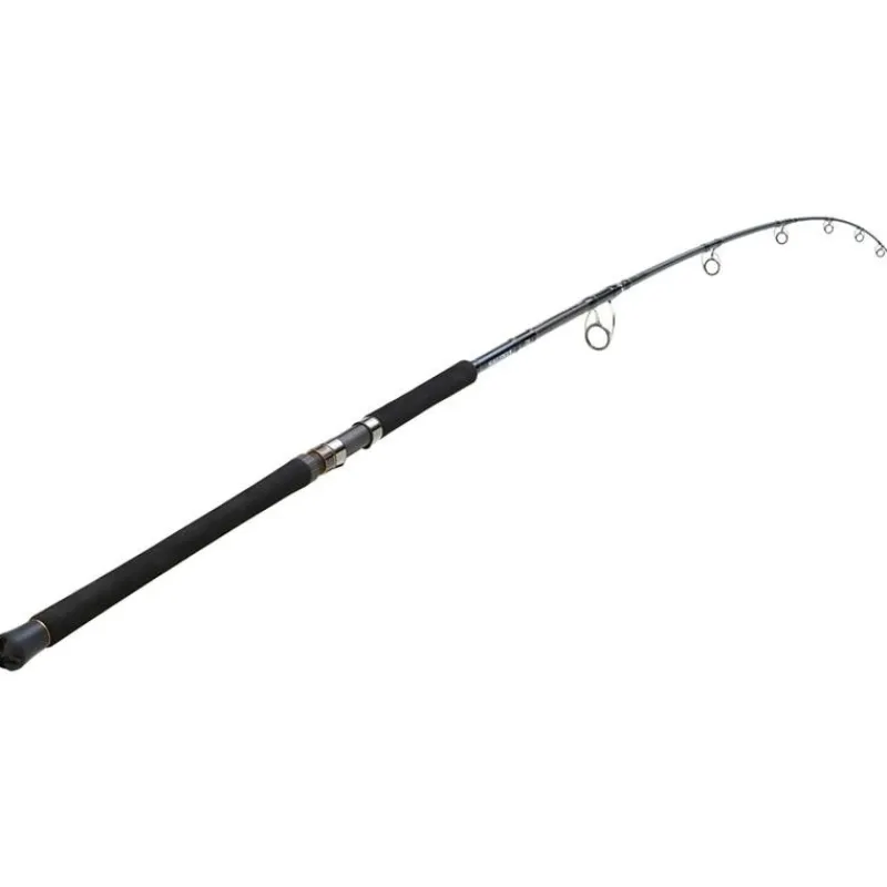 Daiwa Canne Saltiga Air Portable