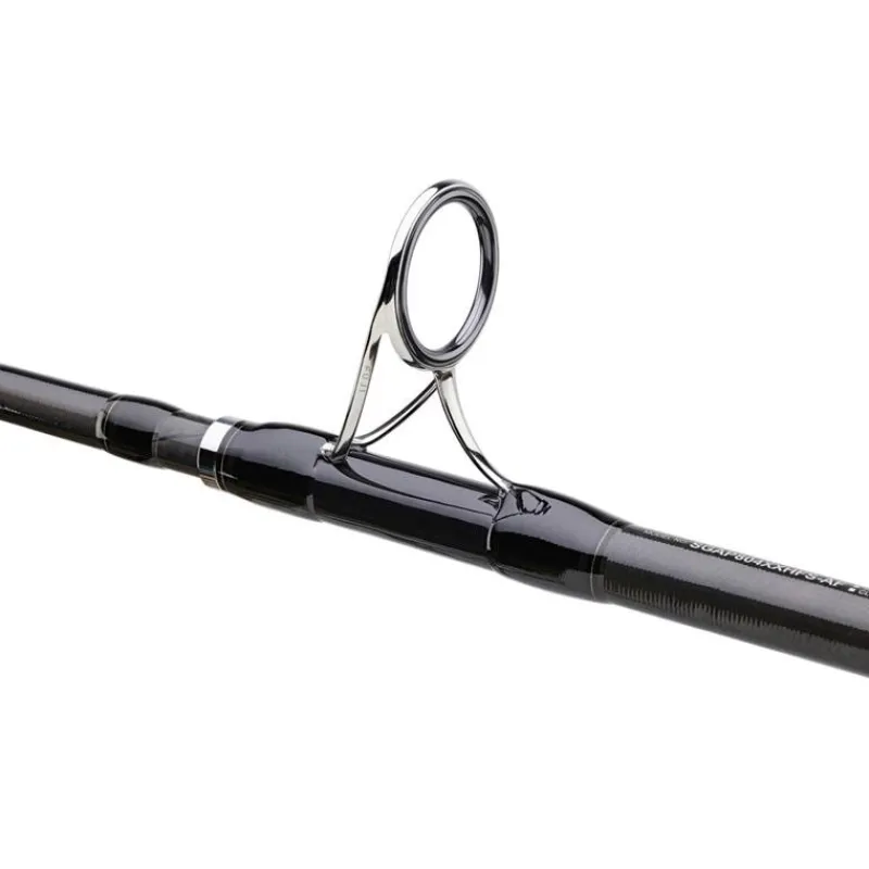 Daiwa Canne Saltiga Air Portable