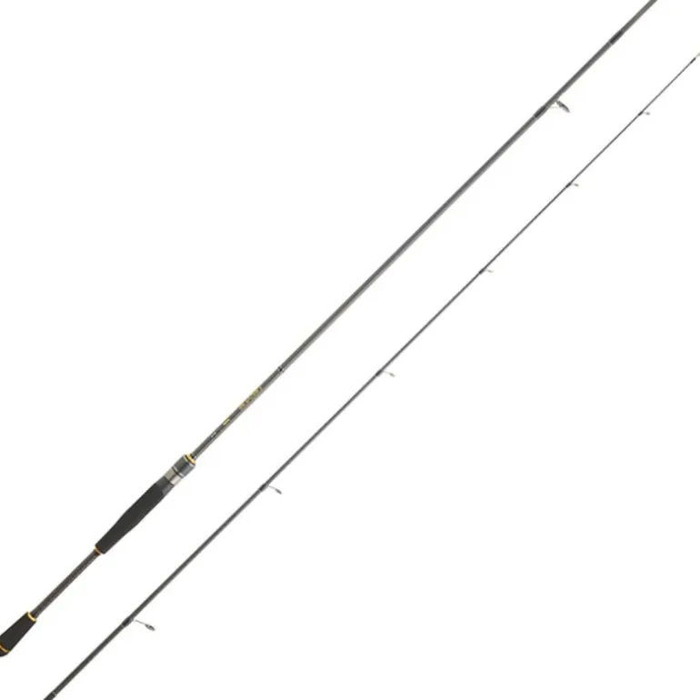Canne Eging Daiwa Legalis Squid