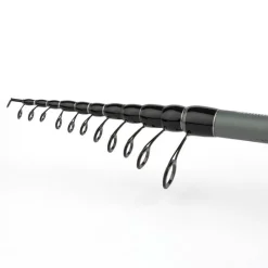 Shimano Canne Esturgeon Télescopique Beastmaster Ax Monster Tele
