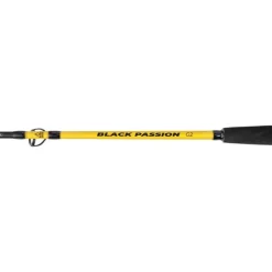 Canne Spinning Black Cat Black Passion G2 Vertical