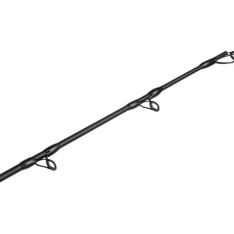 Canne Spinning Black Cat Black Passion G2 Vertical