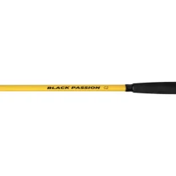 Black Cat Canne Spinning Black Passion G2 Bank