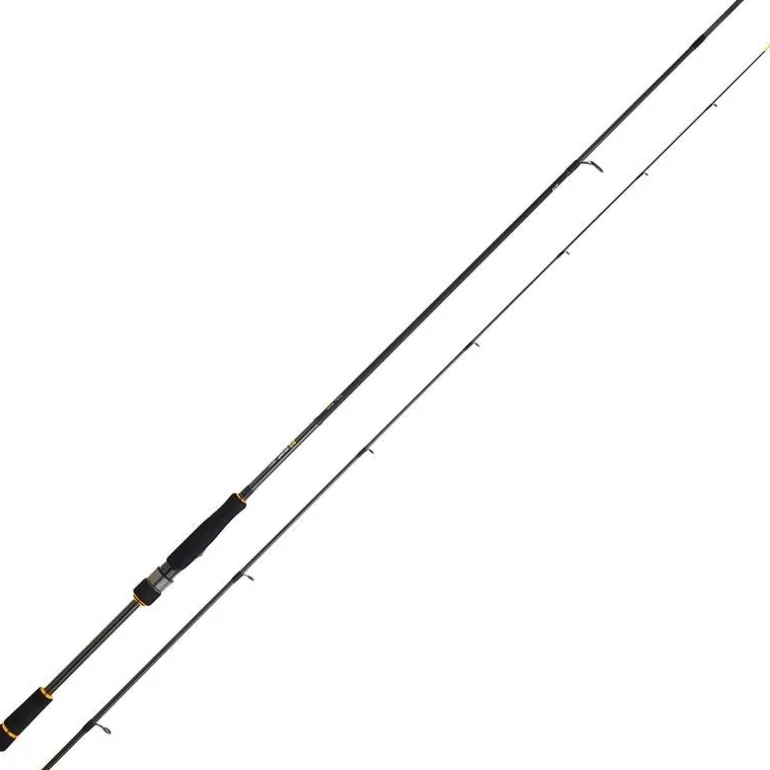 Canne Spinning Daiwa Bg Rf