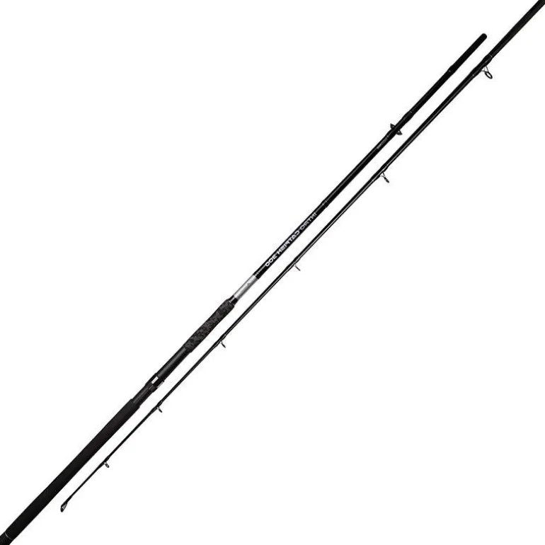 Canne Spinning Mikado Intro Catfish
