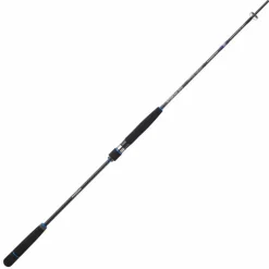 Sakura Canne Spinning Ryokan Sw Slow Jig