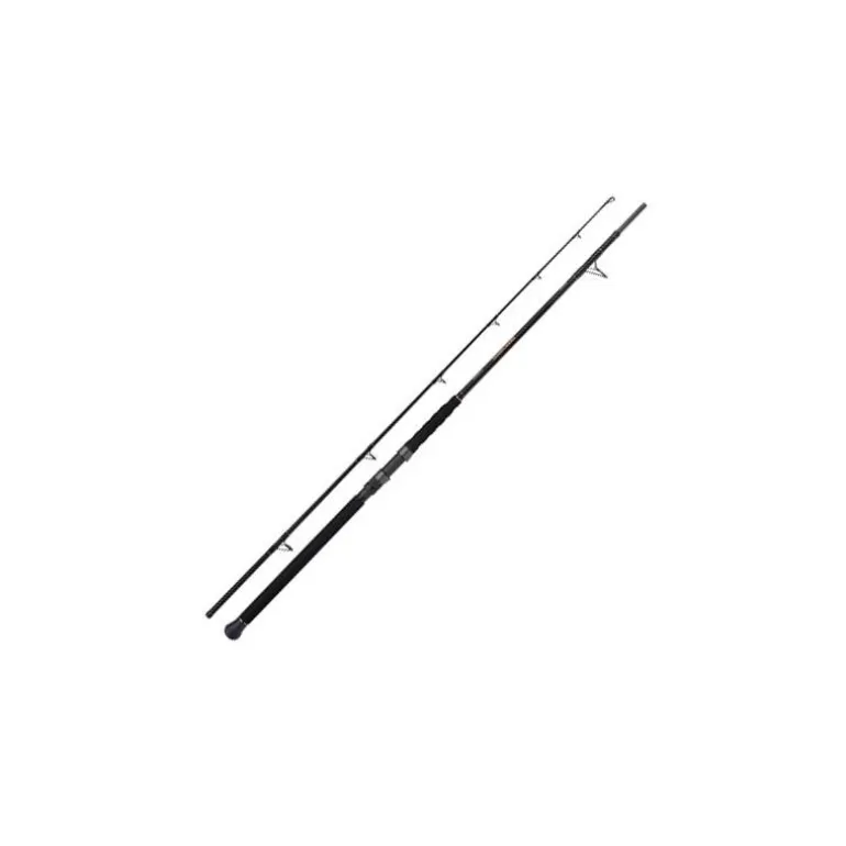 Canne Spinning Shimano Beastmaster Ax Catfish Multi