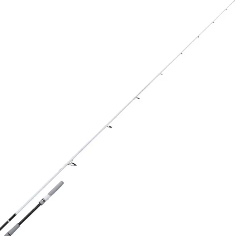 Canne Spinning Shimano Stradic Spinning Seabass