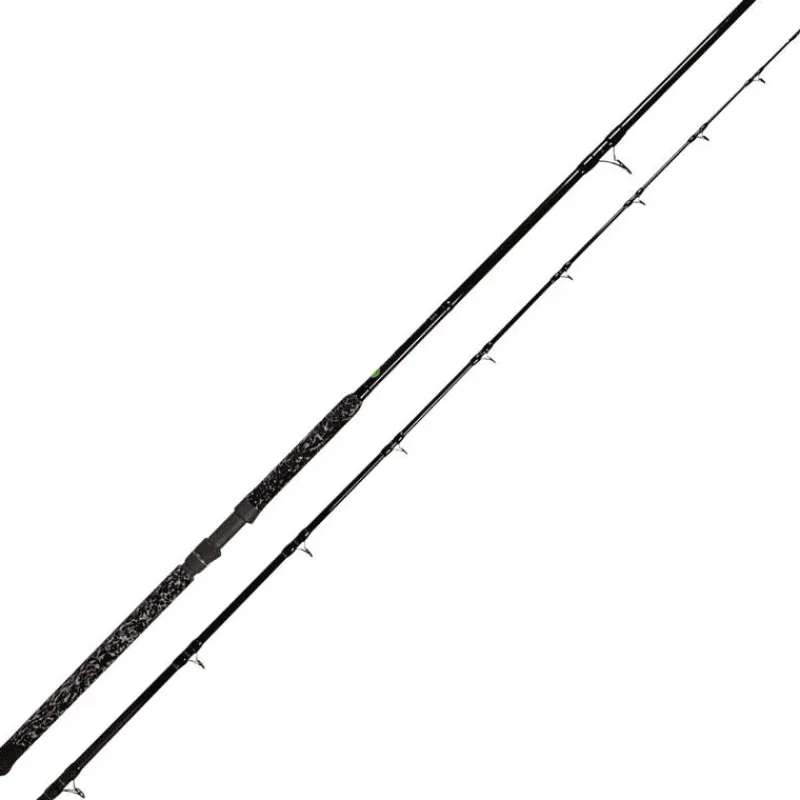 Zeck Canne Spinning Silure Buddy Long