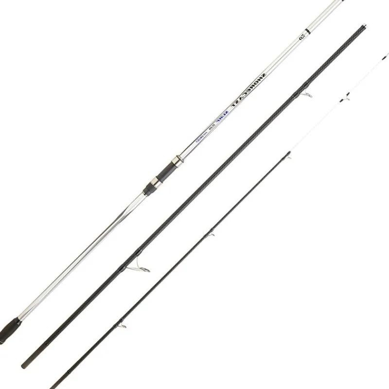 Daiwa Canne Surf Shorecast Surf X