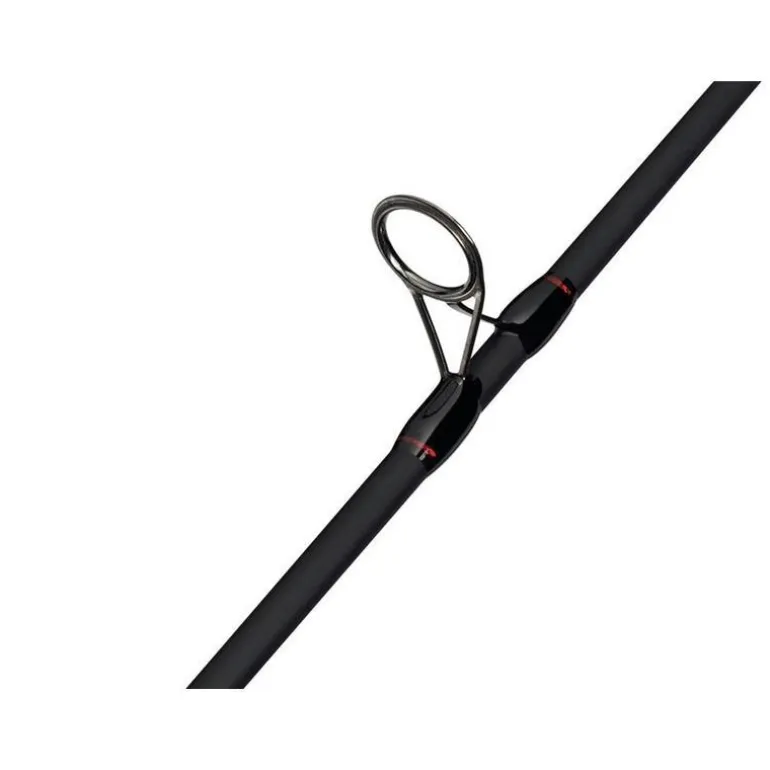 Ensemble Abu Garcia Fast Attack Spinning Combo