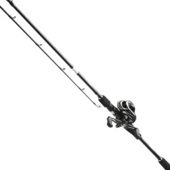 Kinetic Ensemble Casting Ozor Bc Cl