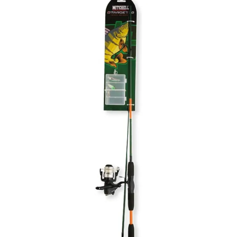 Ensemble Mitchell Carnassier Target Ii Spinning Combo