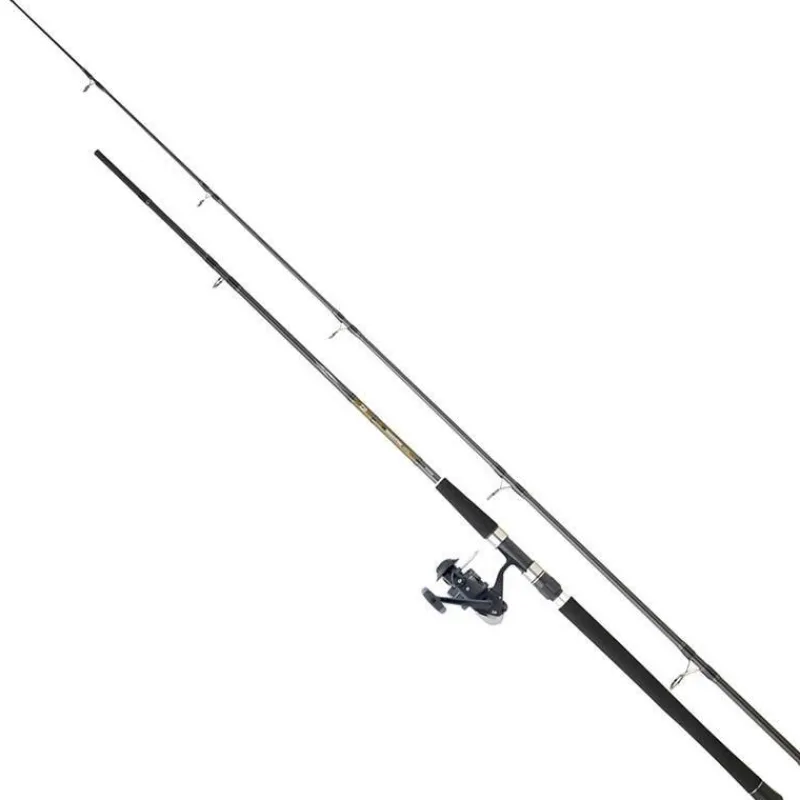Daiwa Ensemble Spinning Set Silure 06