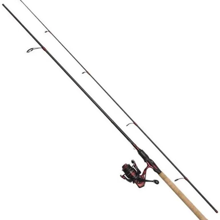 Ensemble Spinning Kinetic Wrestler Ct