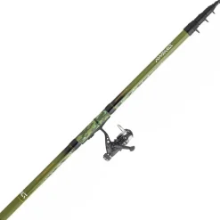 Ensemble Téléréglable Daiwa Set Reg 09/10