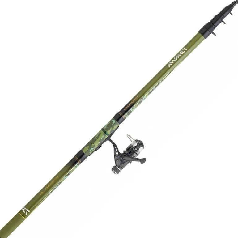 Ensemble Téléréglable Daiwa Set Reg 09/10