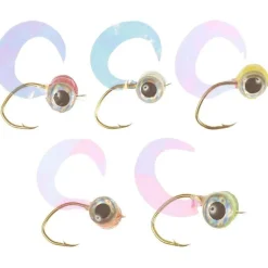 Gambe Vertigone Perche Be10 - 5 Nymphes