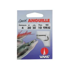 VMC Hamecon Monte Anguille - Par 10