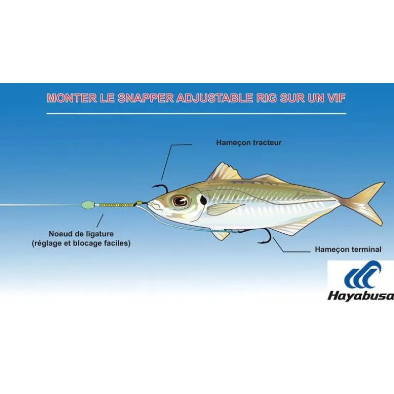 Hamecon Monté Hayabusa Snapper Adjustable Rig Ex304