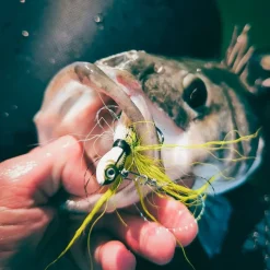 Spro Jig Bucktail Jig Crazy
