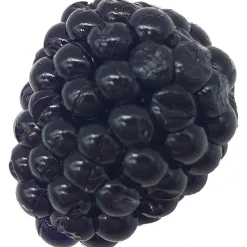 Adam s Leurre Souple Adam's Mure - 2.8Cm - Par 8