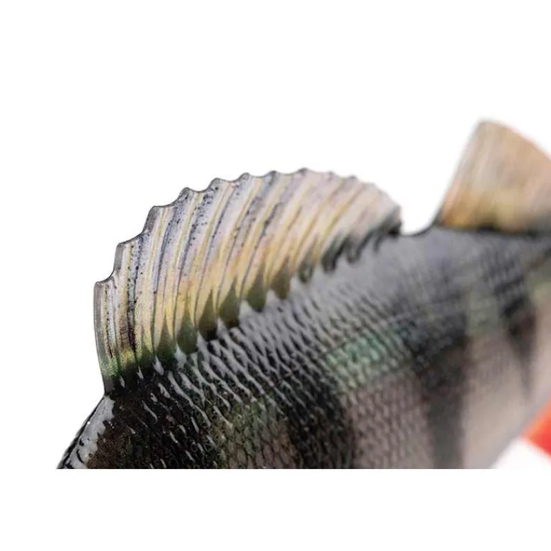 Fox Rage Leurre Souple Armé Ultra-Realistic Perch Replicant