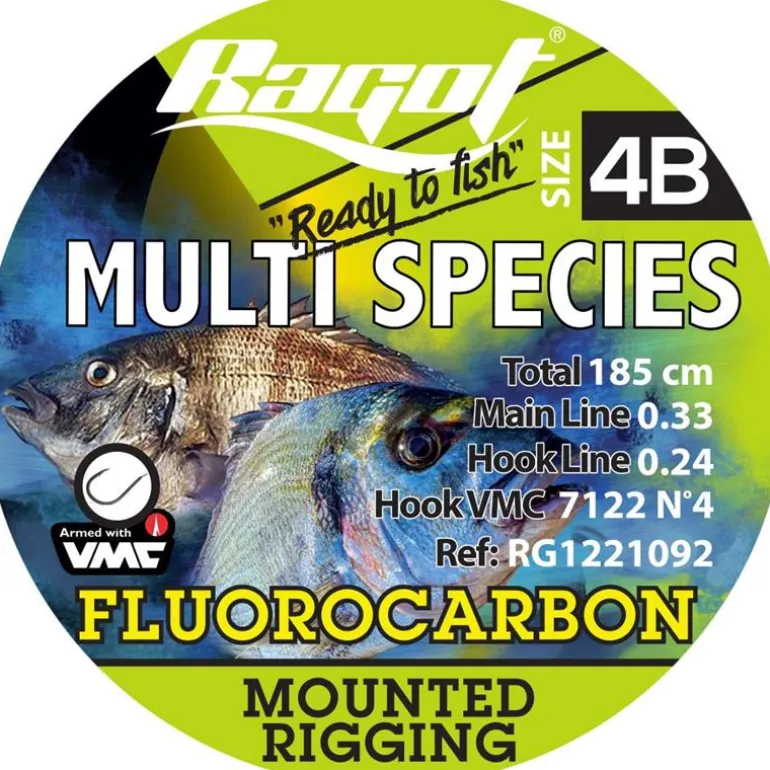 Montage Tout Venant Ragot Multi Species Rig