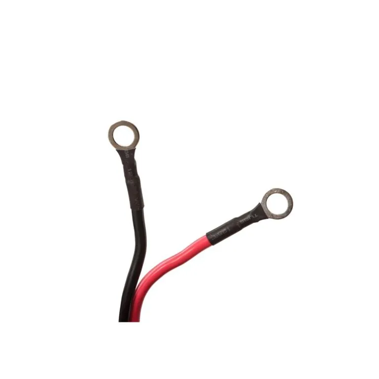 Moteur Electrique Haswing Osapian 55 Lbs 2026
