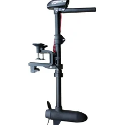 Moteur Electrique Haswing W-20 20 Lbs