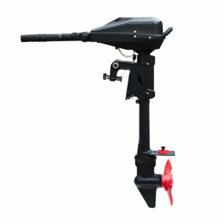 Moteur Électrique Haswing Brushless Armada T10 300Lbs 48V