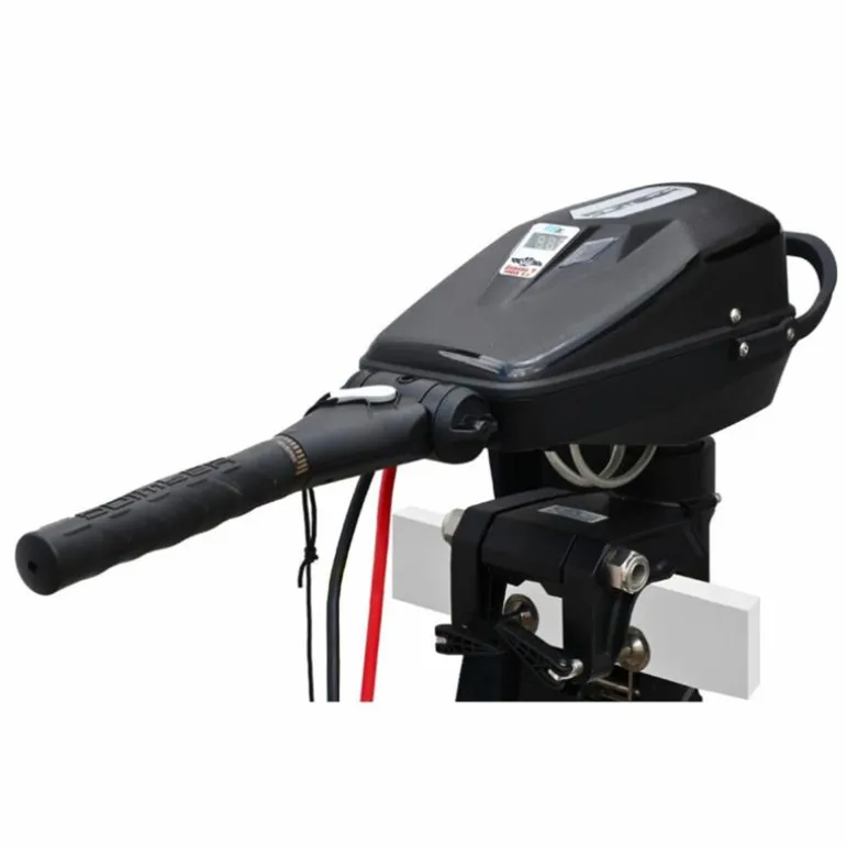 Moteur Électrique Haswing Brushless Armada T8 250Lbs 48V