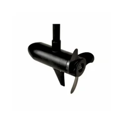 Moteur Électrique Haswing Cayman T55 12V