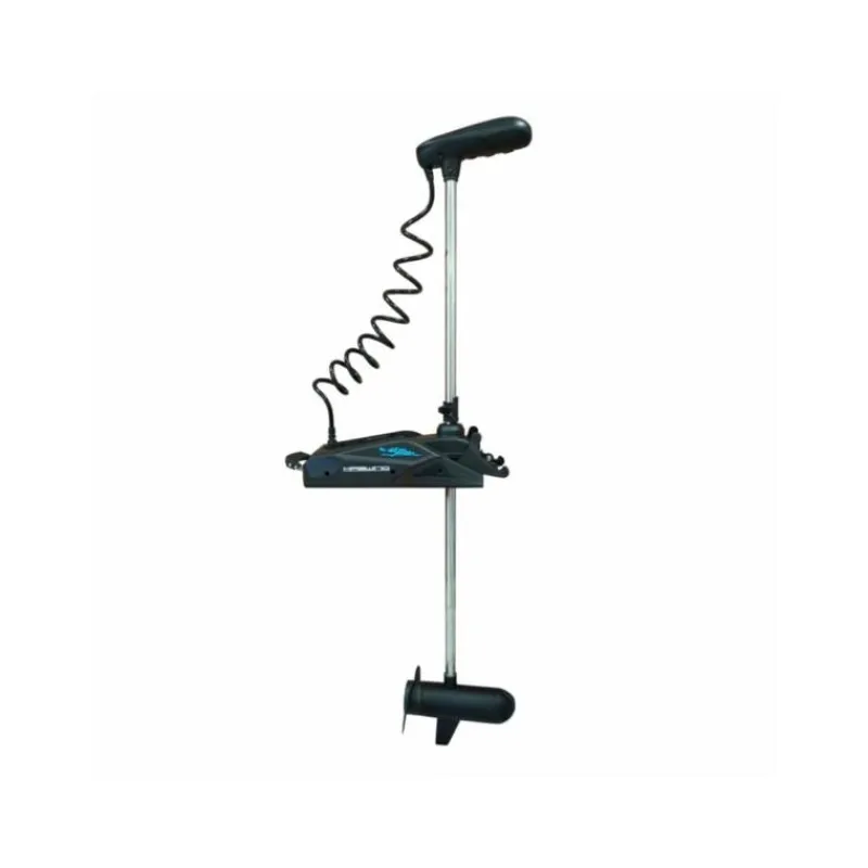 Haswing Moteur Électrique Cayman B Gps 12Lbs 36V Noir Version 1.6