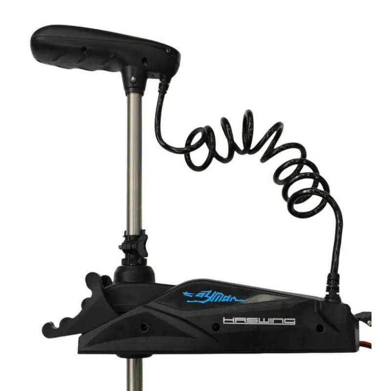 Haswing Moteur Électrique Cayman B Gps 12Lbs 36V Noir Version 1.6
