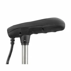 Haswing Moteur Électrique Cayman B Gps 12Lbs 36V Noir Version 1.6